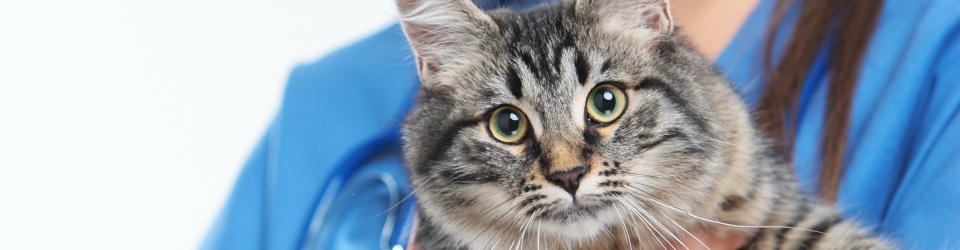 Холтеровское мониторирование